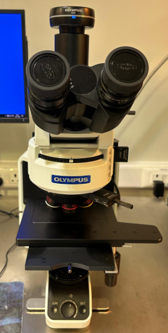 Optical Microscope